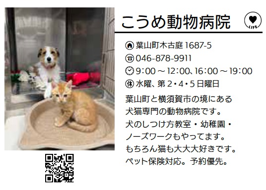 こうめ動物病院