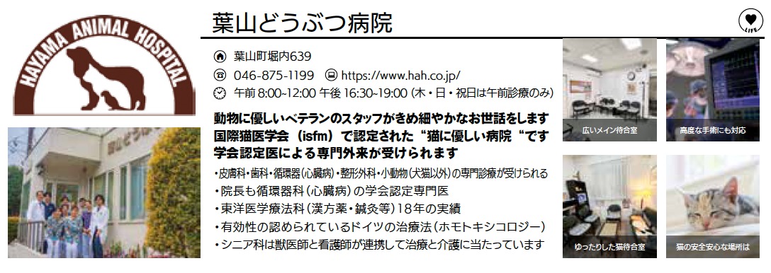 葉山どうぶつ病院