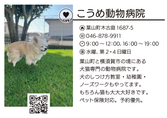 こうめ動物病院