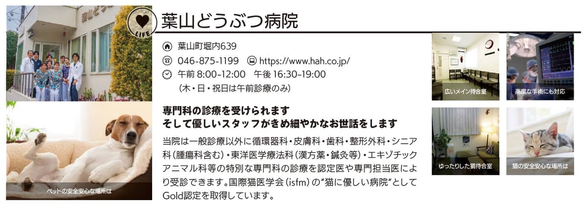 葉山どうぶつ病院
