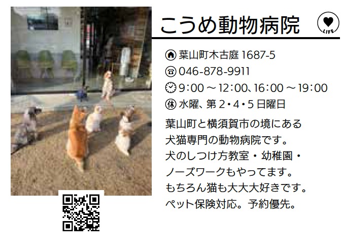 こうめ動物病院