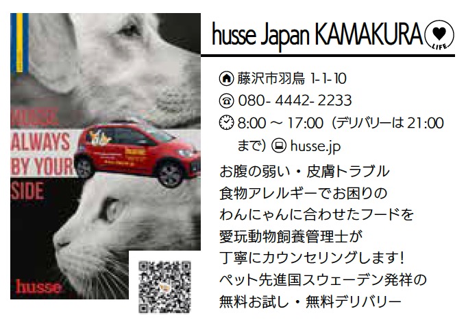 husse Japan KAMAKURA