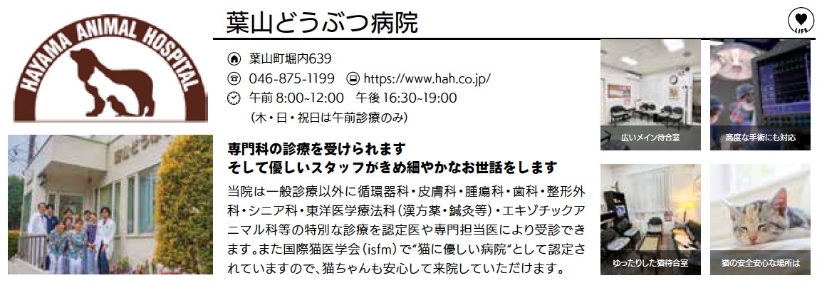 葉山どうぶつ病院