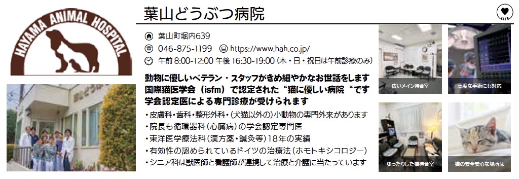 葉山どうぶつ病院