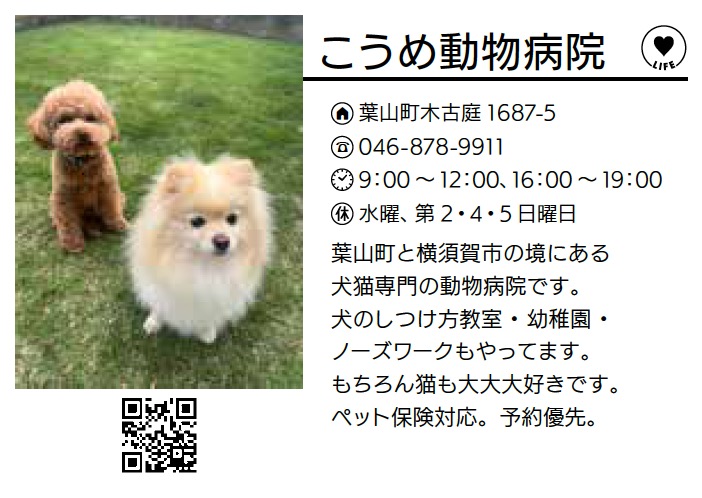 こうめ動物病院