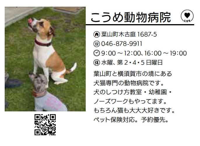 こうめ動物病院