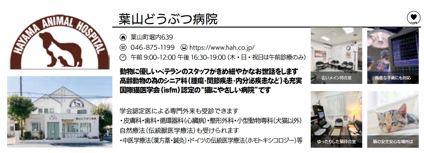葉山どうぶつ病院